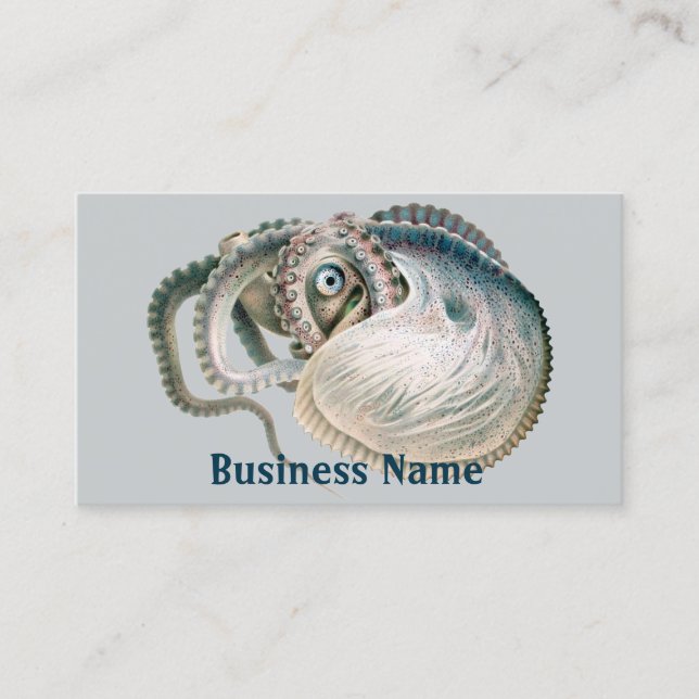 Vintage Octopus Argonaut, Marine Life Animals Business Card (Front)