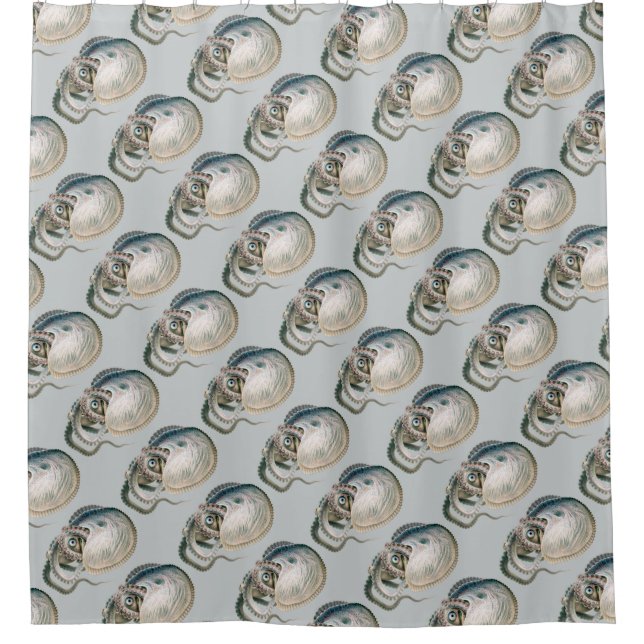 Vintage Octopus Argonaut, Marine Life Animals Shower Curtain (Front)