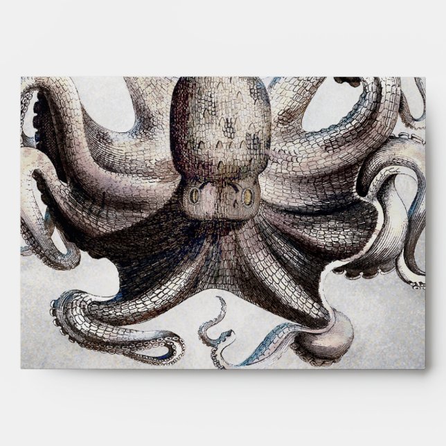 Vintage Octopus Beach Nautical Invitation Envelope (Front)