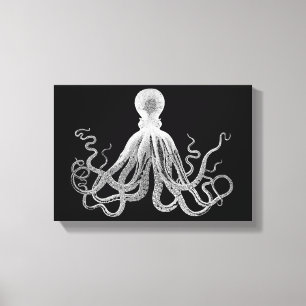 Vintage Octopus Canvas Print