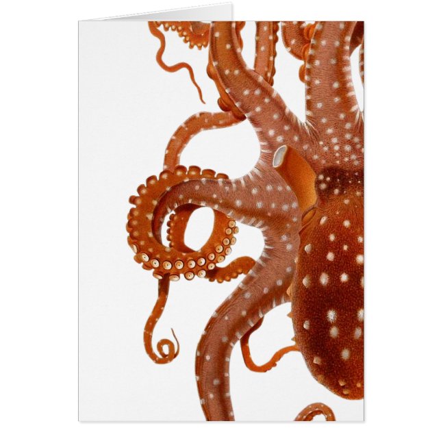 Vintage octopus Card (Front)