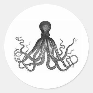 Vintage octopus engraving classic round sticker