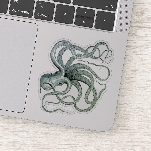 Vintage Octopus Illustration (Detail)