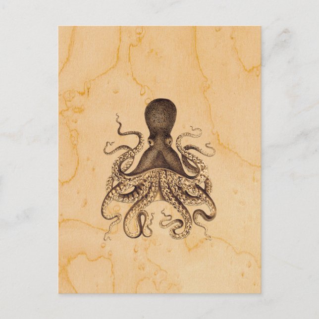 Vintage Octopus Illustration in Browns Postcard (Front)