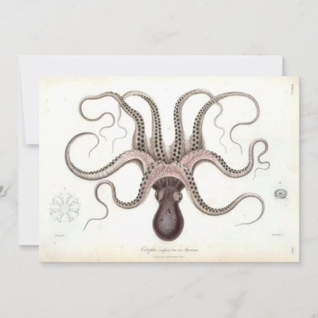 Vintage Octopus Invite (Front)
