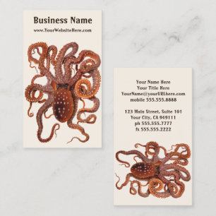 Vintage Octopus Macropus, Marine Aquatic Animals Business Card