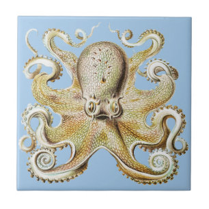 Vintage Octopus Marine Life illustration Tile