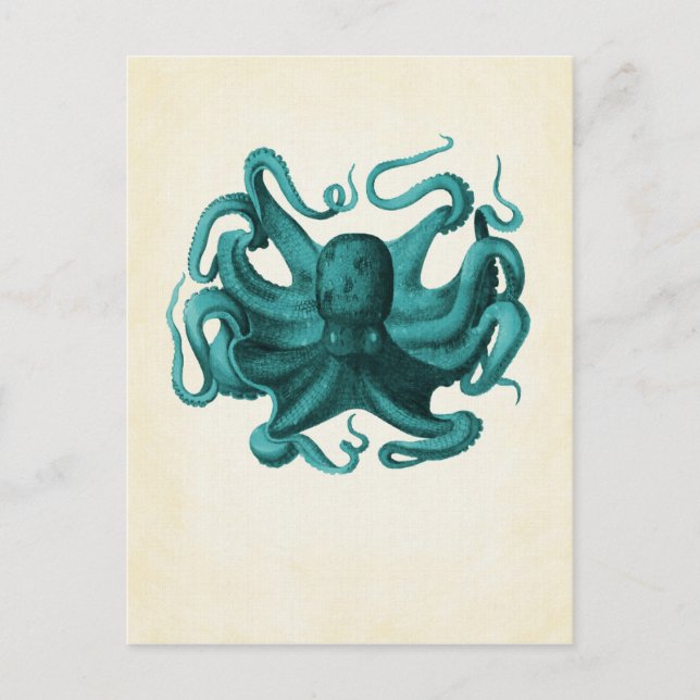 Vintage Octopus Postcard (Front)
