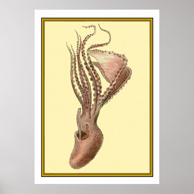 Vintage Octopus  Poster (Front)