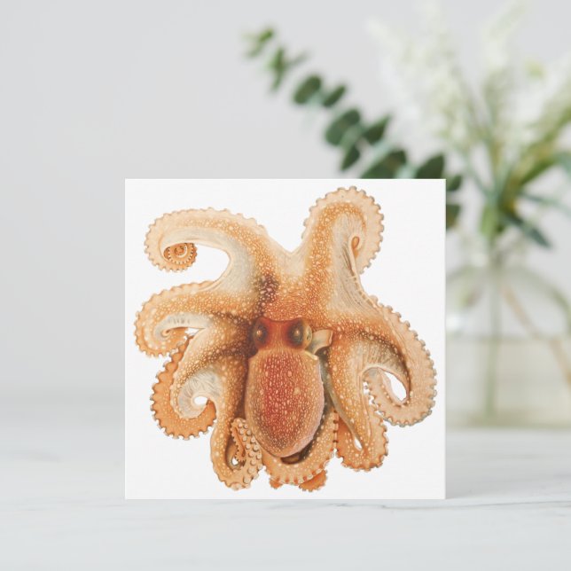 Vintage Octopus Salutii, Marine Aquatic Animals (Standing Front)