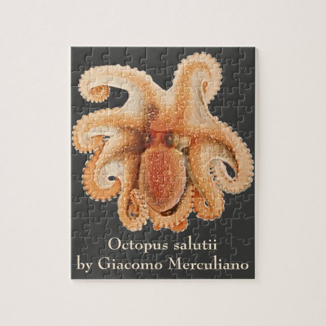 Vintage Octopus Salutii, Marine Aquatic Animals Jigsaw Puzzle (Vertical)
