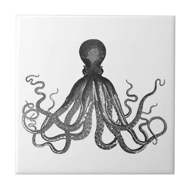 Vintage Octopus Sea Ocean Animal Tile (Front)