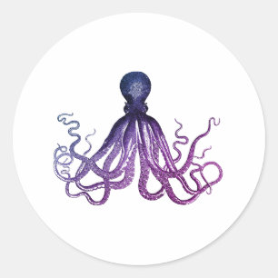 Vintage Octopus Sealife  Classic Round Sticker