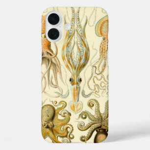 Vintage Octopus Squid Gamochonia by Ernst Haeckel iPhone 16 Plus Case