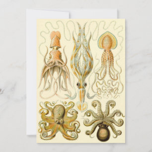 Vintage Octopus Squid Gamochonia by Ernst Haeckel Invitation