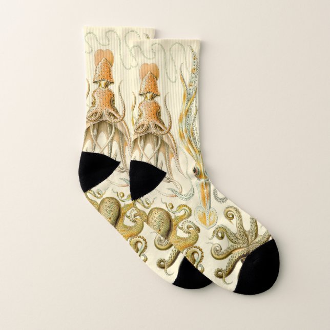 Vintage Octopus Squid Gamochonia by Ernst Haeckel Socks (Pair)