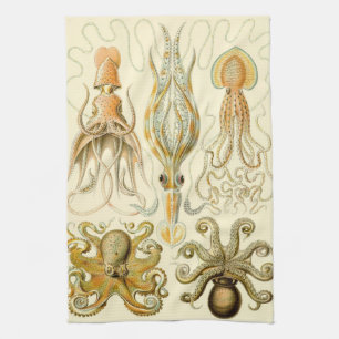 Vintage Octopus Squid Gamochonia by Ernst Haeckel Tea Towel
