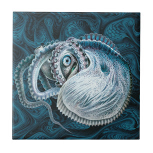 Vintage Octopus Squid Nautilus Argonaut Tile