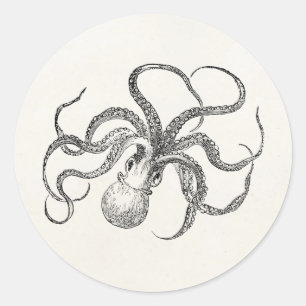 Vintage Octopus Template on Antique Paper Classic Round Sticker