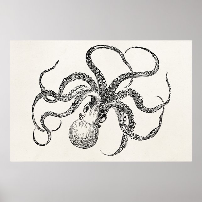 Vintage Octopus Template on Antique Paper Poster (Front)