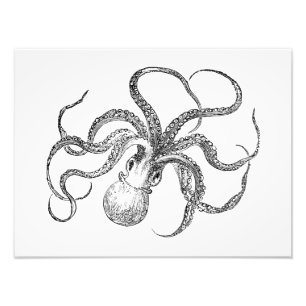 Vintage Octopus Template Photo Print