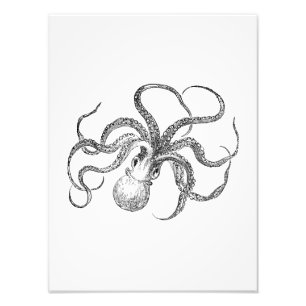 Vintage Octopus Template Photo Print