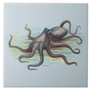 Vintage Octopus Tile