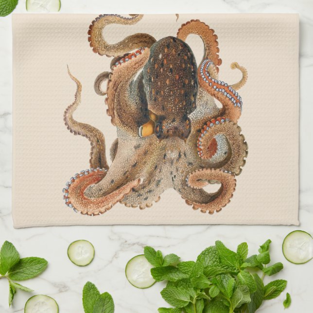 Vintage Octopus Vulgaris, Marine Life Animals Tea Towel (Folded)