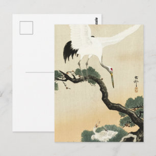 Vintage Ohara Koson Japanese Crane Pine Art Postcard