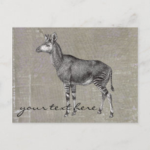 Vintage Okapi Postcard