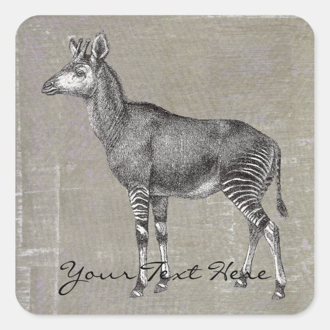 Vintage Okapi Square Sticker (Front)