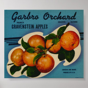 Vintage Old Apple Fruit Crate Labels Poster