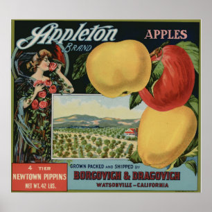 Vintage Old Apple Fruit Crate Labels Poster