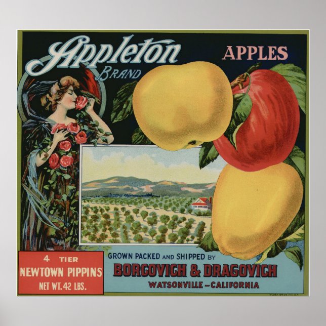 Vintage Old Apple Fruit Crate Labels Poster (Front)