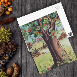 Vintage Old Apple Tree Meadow Field Postcard