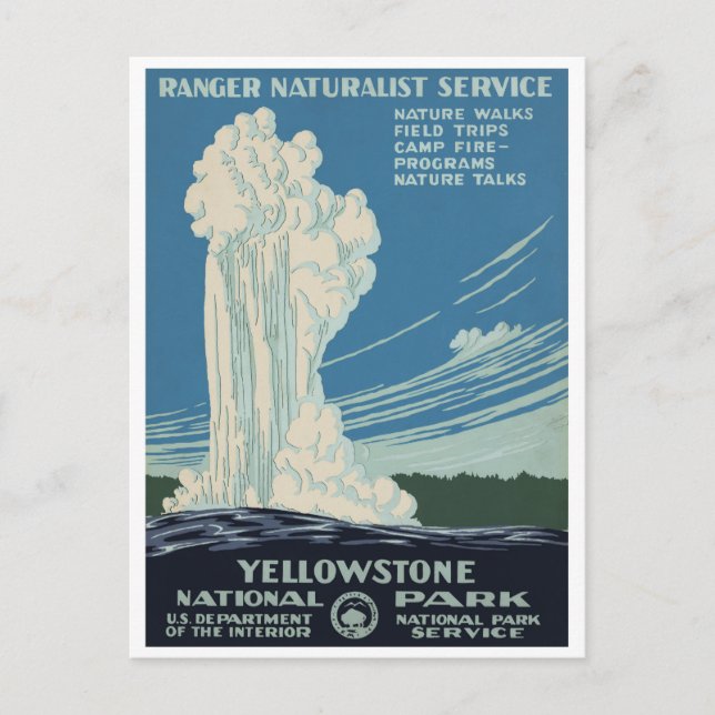 Vintage Old Faithful in Yellowstone National Park Postcard (Front)
