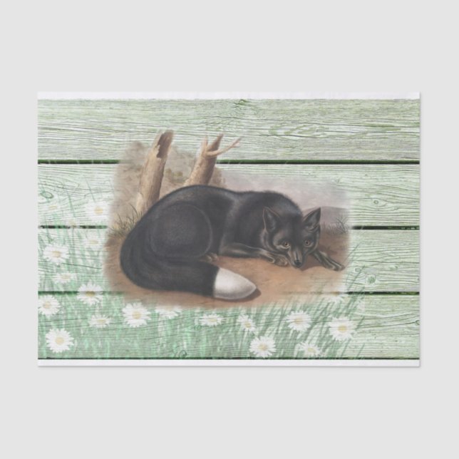 Vintage old green wood texture American Fox Tissue Paper (Front)