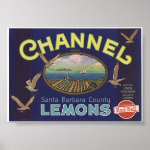 Vintage Old Lemons Fruit Crate Labels Poster