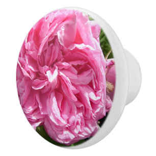 Vintage Old Pink Roses Rose Flower floral cabbage Ceramic Knob