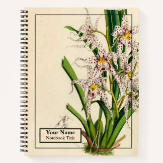 Vintage Oncidium Naevium Orchid Notebook