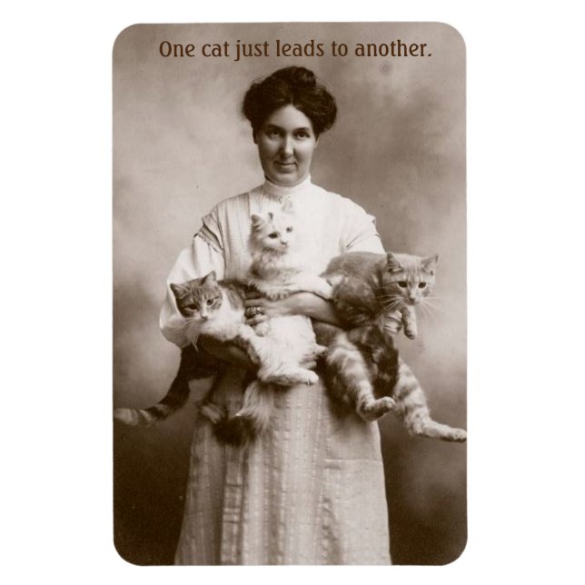 Vintage - One Cat Just Leads to Another, Magnet (Vertical)