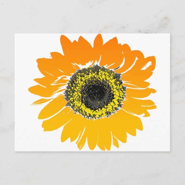 Vintage Orange and Yellow Sunflower Postcard (Front)