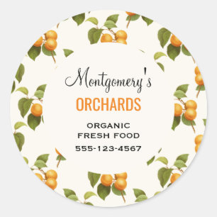 Vintage Orange Apricot Watercolor Pattern Business Classic Round Sticker