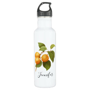Vintage Orange Apricots Watercolor Drawing 710 Ml Water Bottle