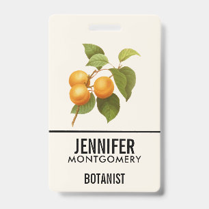 Vintage Orange Apricots Watercolor Drawing ID Badge