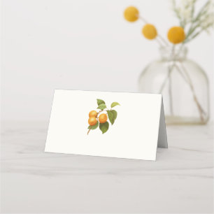 Vintage Orange Apricots Watercolor Drawing Place Card
