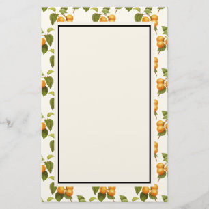 Vintage Orange Apricots Watercolor Pattern Stationery