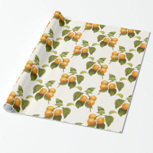 Vintage Orange Apricots Watercolor Pattern Wrapping Paper