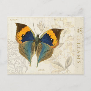 Vintage Orange Blue Butterfly Botanical Postcard