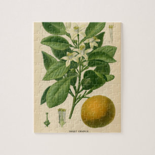 Vintage Orange Botanical Print Jigsaw Puzzle